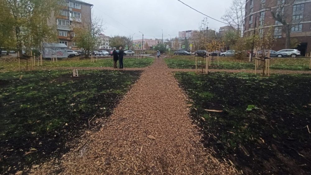 В Кирове пустырь превращается в зеленый сквер